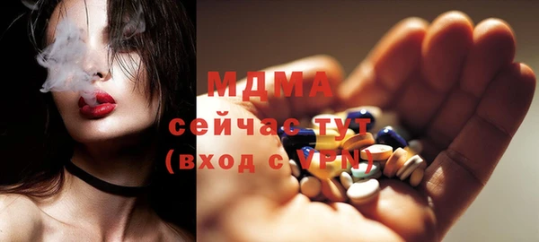 гашик Алексин