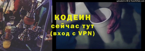 гашик Алексин