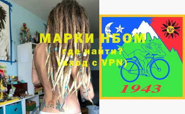 гашик Алексин