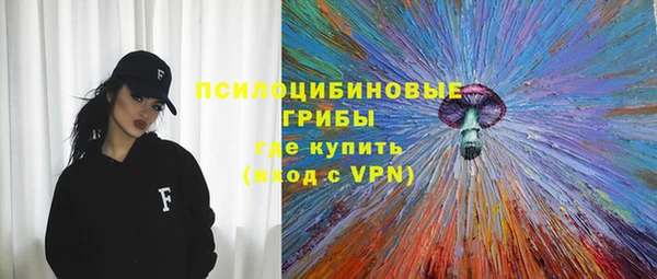 гашик Алексин