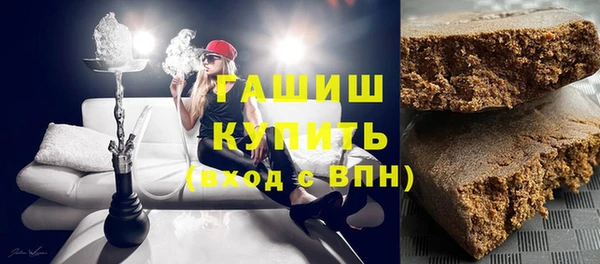 гашик Алексин