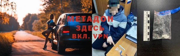 гашик Алексин