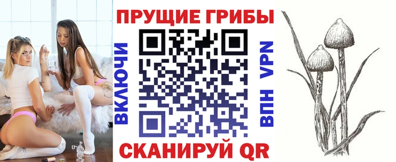 Галлюциногенные грибы MAGIC MUSHROOMS  магазин    Ипатово 