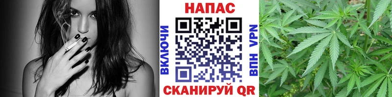 Шишки марихуана сатива  Ипатово 